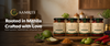 Aamriti ke authentic Mithila pickles ki jar, sarson ke tel aur dhoop mein bani traditional recipe